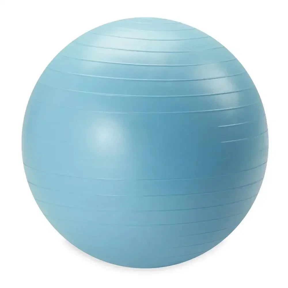 Weighted Stability Ball For Core Strength And Balance Exercise