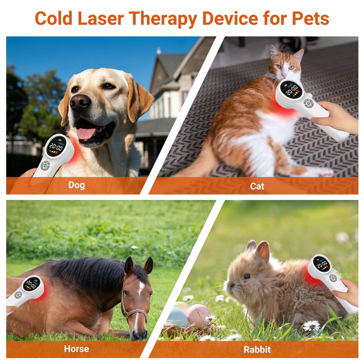 Frovab Cold Laser Therapy Machine 660nm 810nm 980nm Red NIR