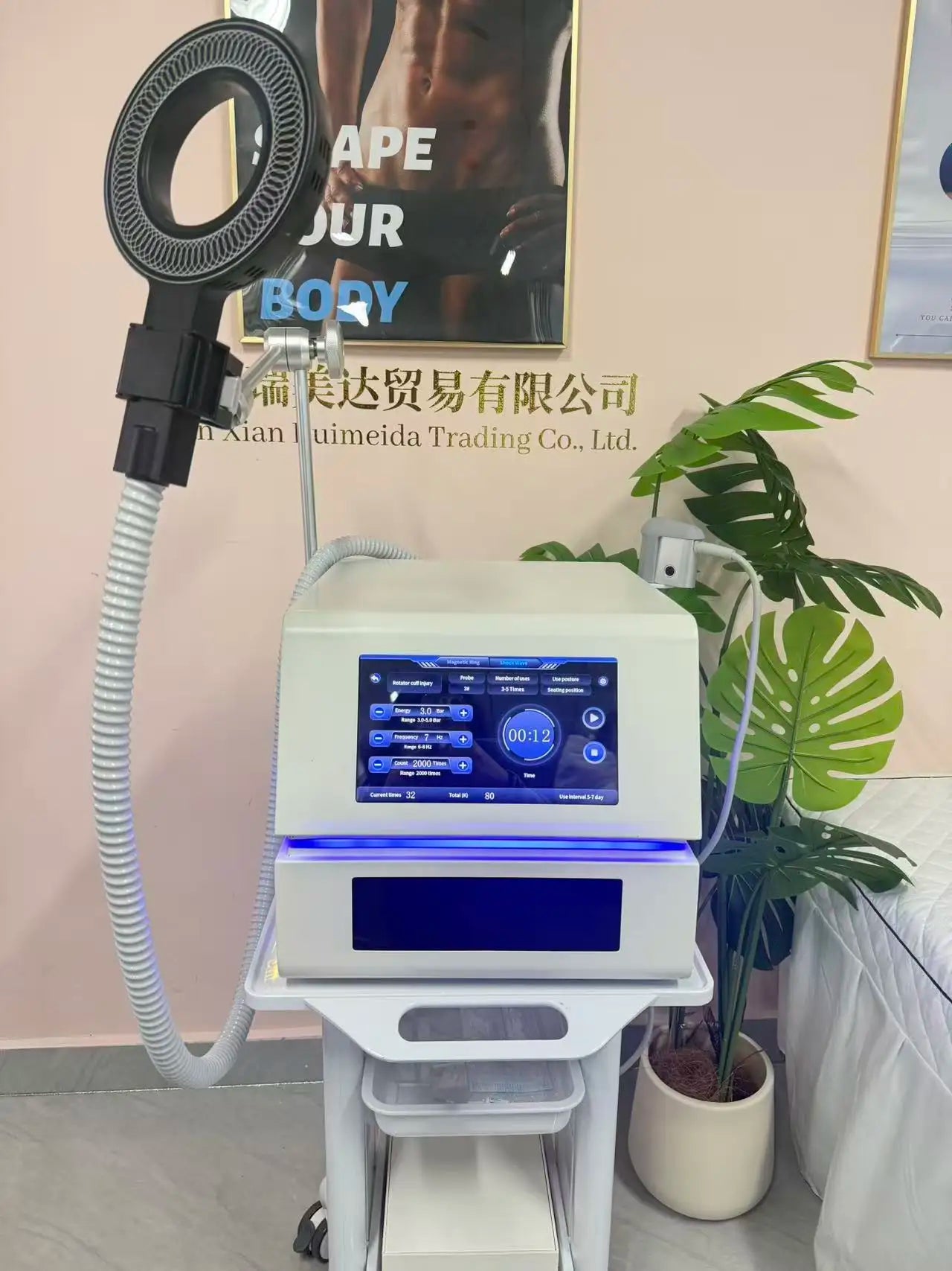 EMSZERO Magneto Therapy PEMF Device For Pain Relief