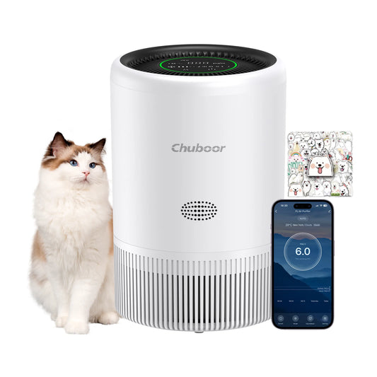 Chuboor Smart Air Purifier With Alexa Control PM2.5 Monitor