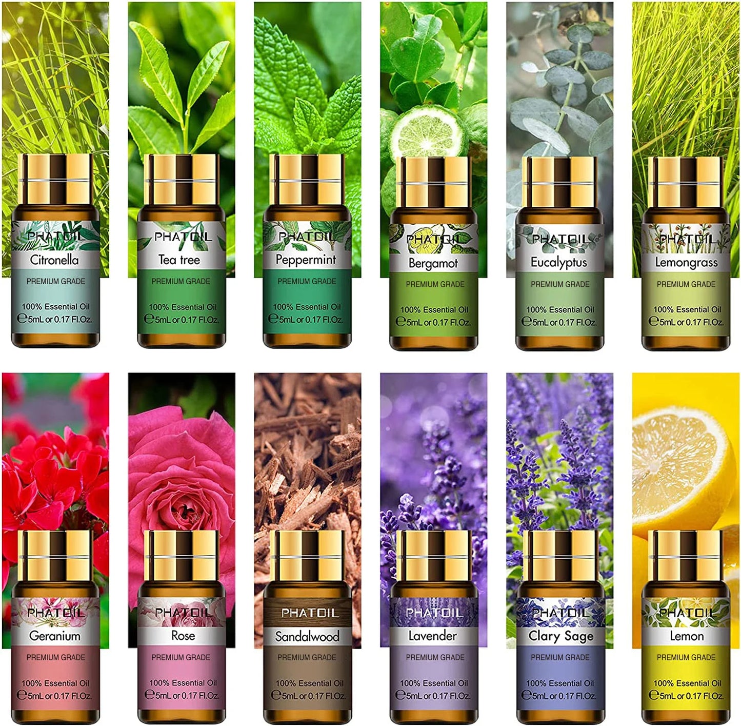 PHATOIL 12 Piece Gift Box Pure Essential Oils For Humidifiers Diffuser Lavender